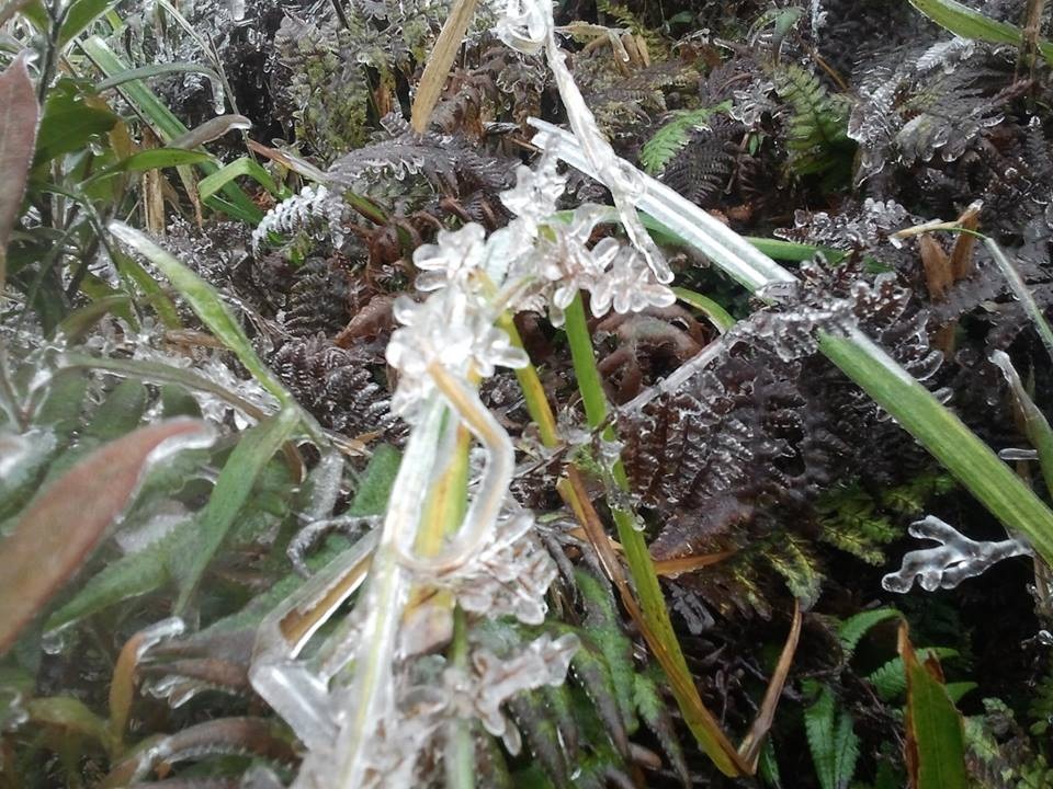 Du khách thích thú với hiện tượng bắng tuyết sớm ở Sapa - 4 Đến khoảng 8h30 sáng hiện tượng băng giá đã tan.