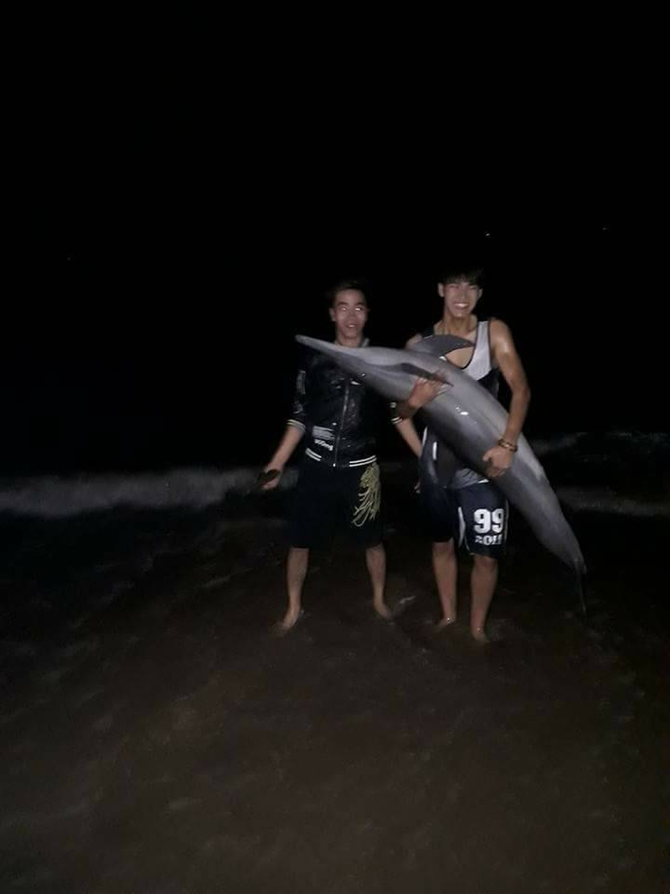 Cá heo bị xẻ thịt sau khi trôi dạt vào bãi biển Đồ Sơn - 1
Hình ảnh con cá heo khi chưa bị xẻ thịt, được đăng tải trên mạng xã hội.