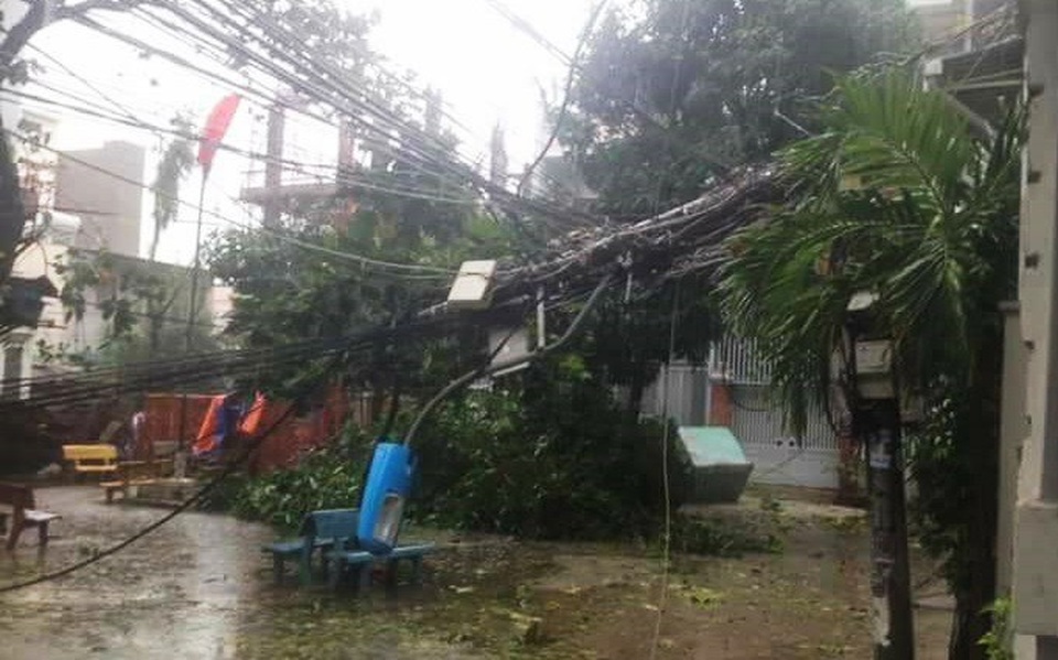 Toàn cảnh hậu quả bão số 12 chưa từng có hơn 20 năm ở Nha Trang - 7 Đường điện bị gãy đổ, gây nguy hiểm do bão số 12 gây ra