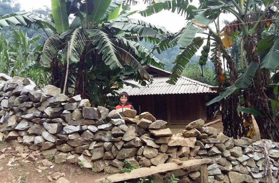 Để phòng thú dữ, nhiều hộ gia đình người Mông ở Sài Khao đã nghĩ ra cách dựng những “tường thành” bằng đá bao quanh những ngôi nhà của mình...Đây là hàng rào đá của gia đình anh Vàng A Long. Theo anh Long thì toàn bộ số đá làm hàng rào này được lấy từ chân núi, viên đá to thì dùng búa, xà beng đập nhỏ rồi dùng xe chở về, sau đó cả nhà lắp ghép lại với nhau. Gia đình anh huy động 6 nhân công làm trong vòng một tháng thì hoàn thành công trình. Theo anh Long, nếu làm hàng rào tre, gỗ thì nhanh bị hư hỏng, năm nào cũng mất công làm.