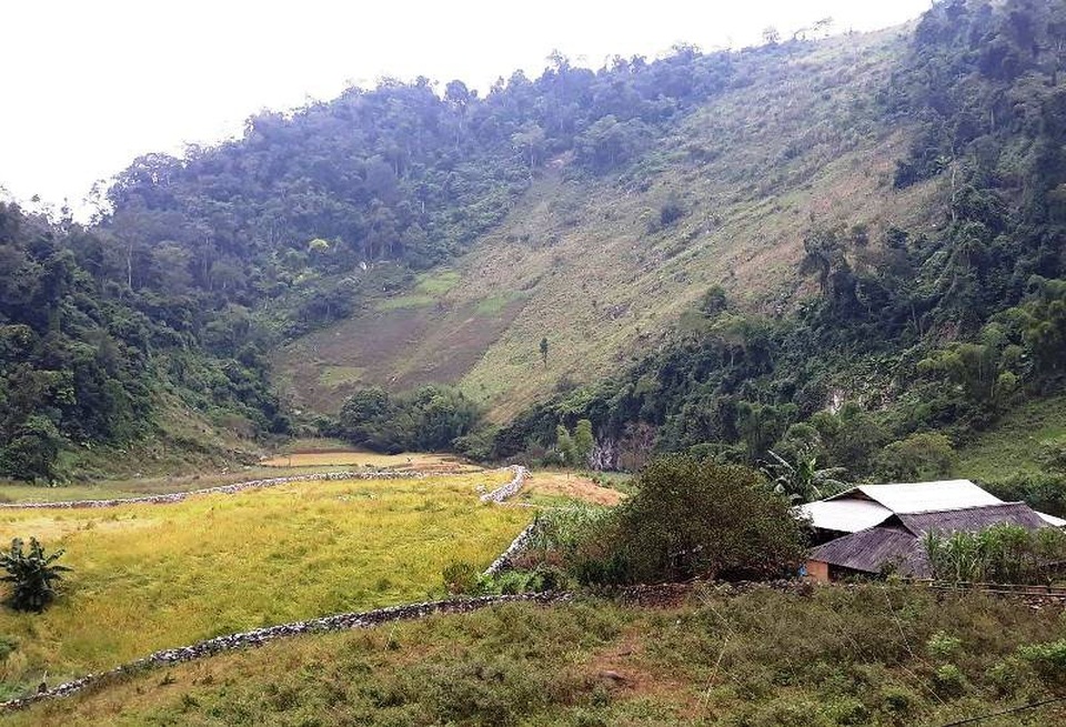 Sài Khao là một bản người Mông, thuộc xã Mường Lý, huyện miền núi biên giới Mường Lát, tỉnh Thanh Hóa. Đây là một địa danh nổi tiếng đã đi vào thơ ca.