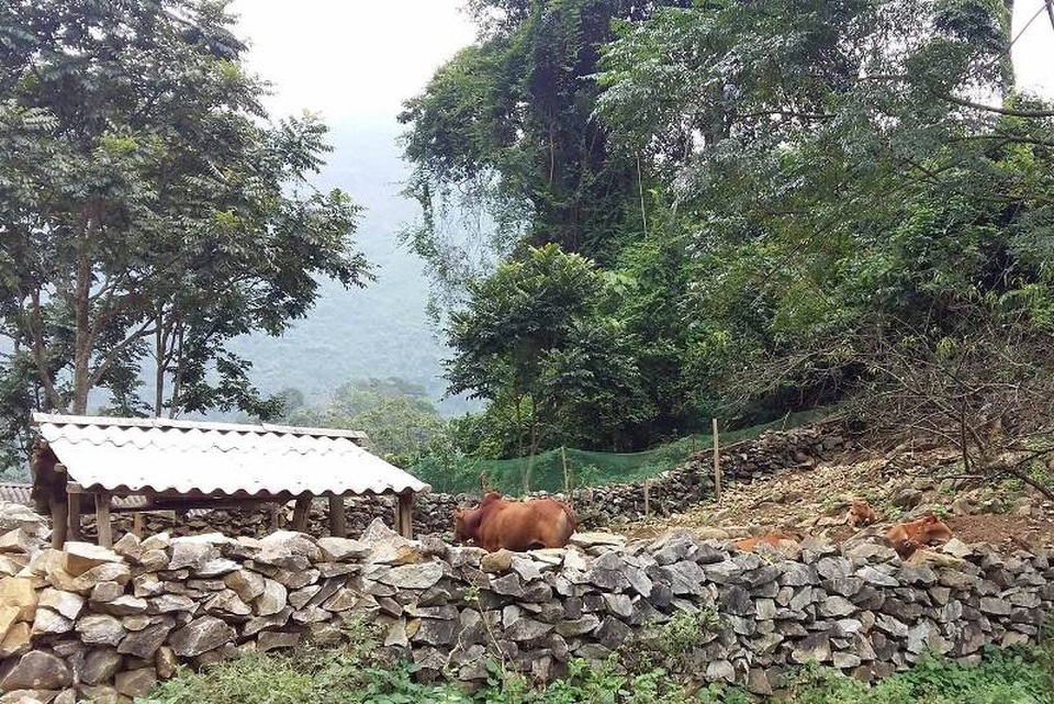 Độc đáo những “tường thành” đá nơi thung lũng Sài Khao - 4