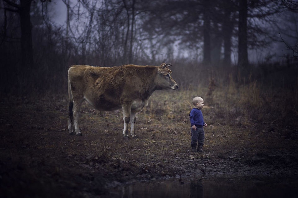 Bộ ảnh tuyệt đẹp về tuổi thơ trên nông trại - 15