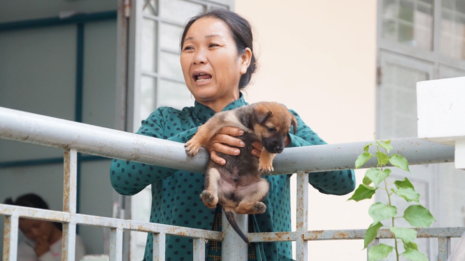 Bão suy yếu, Cần Giờ, Côn Đảo vẫn bình yên - 6 Chú chó con cũng theo chủ đến nhà trú bão