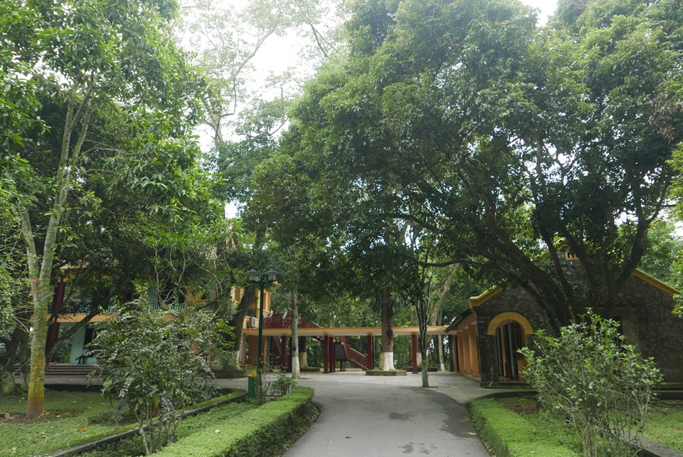 Căn cứ địa bí mật của Chủ tịch Hồ Chí Minh trong khu rừng K9 - 11
Nhà làm việc của Chủ tịch Hồ Chí Minh được nối với nhà nhà bếp bằng lối đi có mái che. Cả khu nhà ẩn mình dưới những tán cây cổ thụ của khu rừng K9. Năm 1961, tại ngôi nhà này, Hồ chủ tịch đã tiếp bà Đặng Dĩnh Siêu (Phu nhân Thủ tướng Trung Quốc Chu Ân Lai). Năm 1962, Bác tiếp Anh hùng vũ trụ Liên Xô G.Titop.