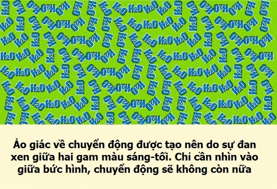 Trò chơi ảo giác khiến bạn mất niềm tin vào đôi mắt của mình - 4 Trò chơi ảo giác khiến bạn mất niềm tin vào đôi mắt của mình - 4