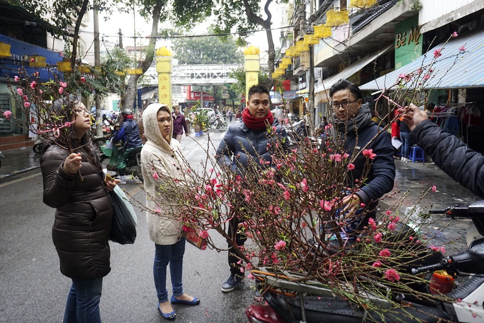 Chợ hoa lâu đời nhất Hà Nội ngày cận Tết - 3
Năm nay, những cành đào nhỏ được đưa về từ Nhật Tân bán chạy, giá giao động từ 50 - 100 nghìn đồng/cành. Thời điểm sau ngày ông Công ông Táo, cành đào và cây đào to mới được chú ý.
Là chợ hoa cổ giữa khu 36 phố hàng Hà Nội, không khí mua bán ở chợ Hàng Lược cũng có nét rất riêng, đậm chất Hà Thành: đi chợ cũng là đi hưởng không khí Tết cổ t