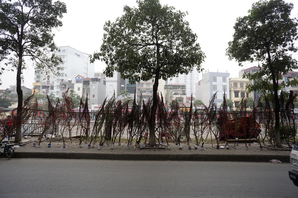 Một bên đường Láng ven sông Tô Lịch cũng trở thành nơi tập kết đào cành.