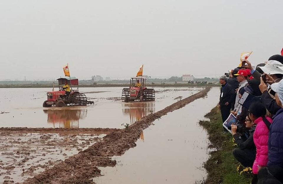 Nữ Bí thư Ninh Bình lội ruộng cấy lúa trong ngày hội xuống đồng - 4 Đông đảo người dân huyện Kim Sơn nô nức tham gia ngày hội xuống đồng năm 2017