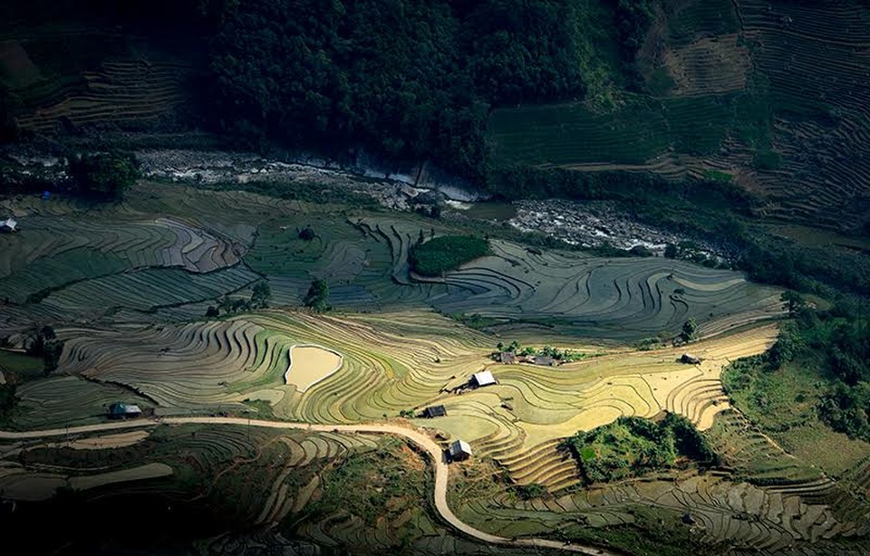 Vẻ đẹp ruộng bậc thang Lào Cai mùa nước đổ - 3