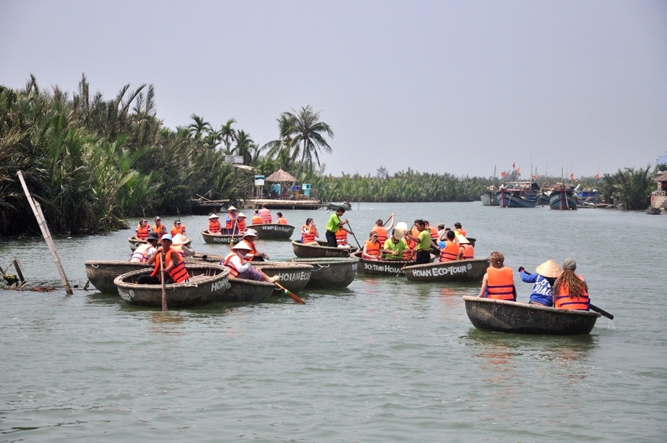 Khám phá rừng dừa Bảy Mẫu ở Hội An - 4 Nhiều chiếc thuyền thúng đưa du khách vào tham quan rừng dừa nước