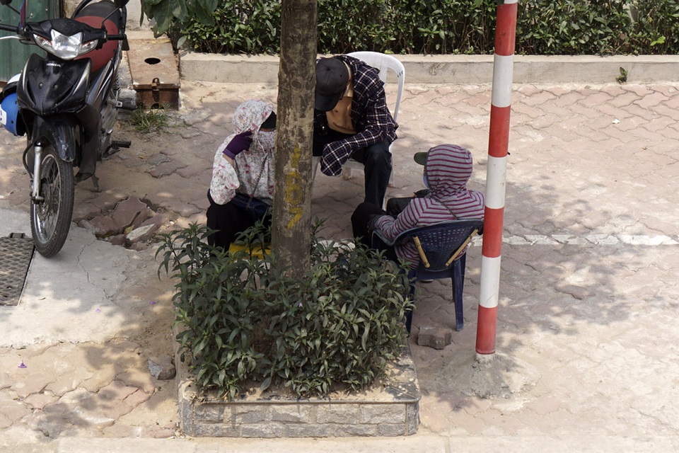 Những bóng cây nhỏ nhoi trên đường phố không đủ che mát.