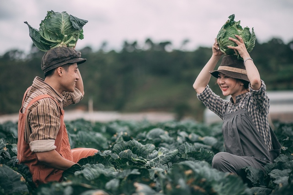 Bộ ảnh cưới bình dị của đôi bạn trẻ giữa... cánh đồng bắp cải - 3 Cặp đôi quen nhau trong một lần Tươi đến ngân hàng nơi Vũ công tác ký giấy tờ. Sau thời gian tìm hiểu, cả hai quyết định đi đến một mối quan hệ nghiêm túc.