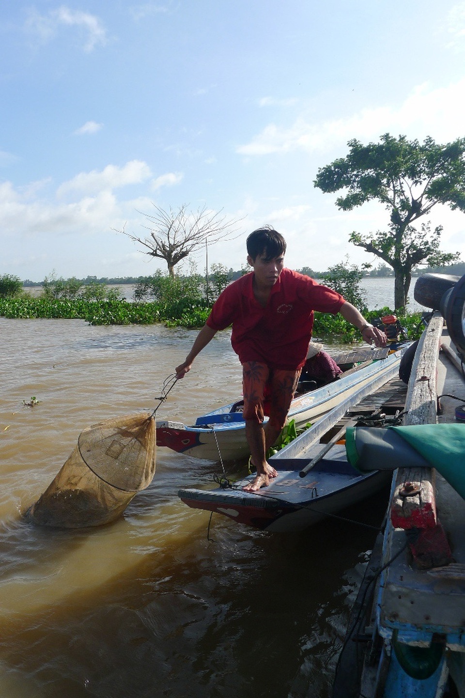 Chộn rộn chợ cá đồng... mùa nước nổi - 4 Anh Võ Văn Bào đang di chuyển khoảng 25kg cá linh non đúng chuẩn mà anh vừa trúng trong mẻ dớn sáng nay chuẩn bị bán cho thương lái