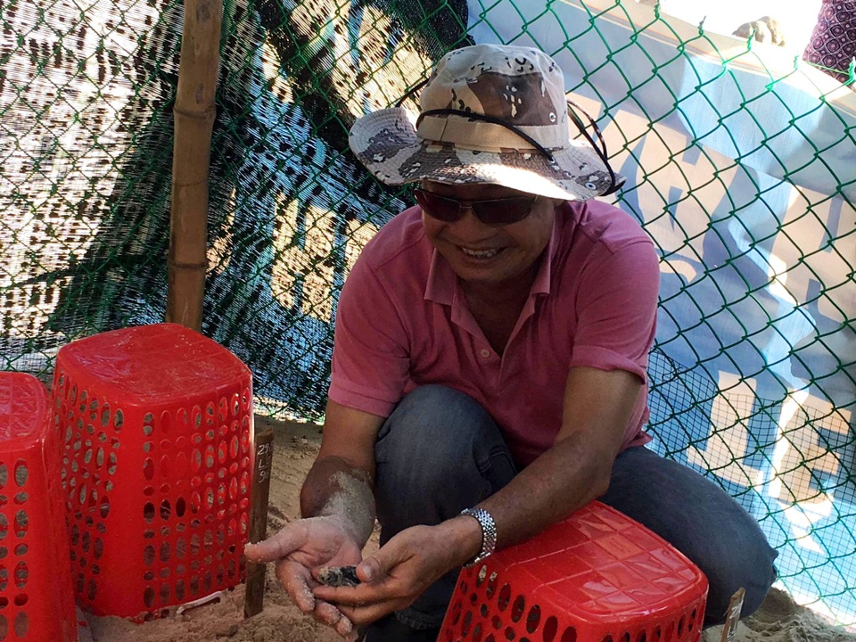 Ấp nở thành công 66 cá thể rùa biển được chuyển vị từ Côn Đảo - 3 Những cá thể rùa đầu tiên được đưa lên để thả về biển