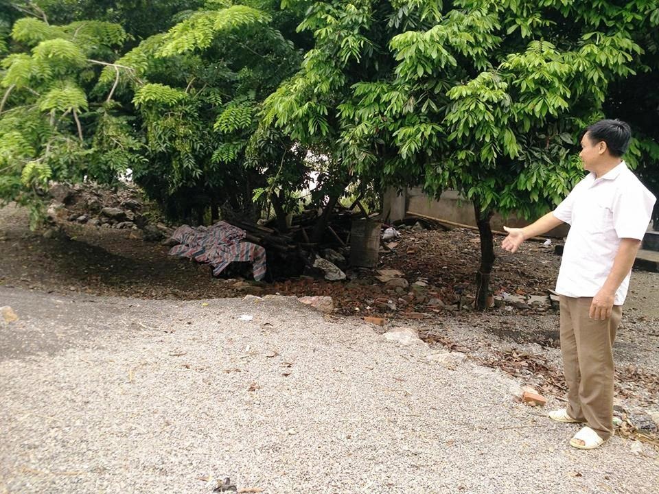 Dân cả thôn kéo nhau “gõ cửa” khắp nơi đòi đất xây nhà văn hóa! - 3 Diện tích đất 128m2 UBND xã Đức Long quản lý bị hộ ông Quỳnh lấn chiếm trồng cây, người dân thôn Phú Cường muốn được sử dụng diện tích đất này nhưng không được chính quyền giải quyết.