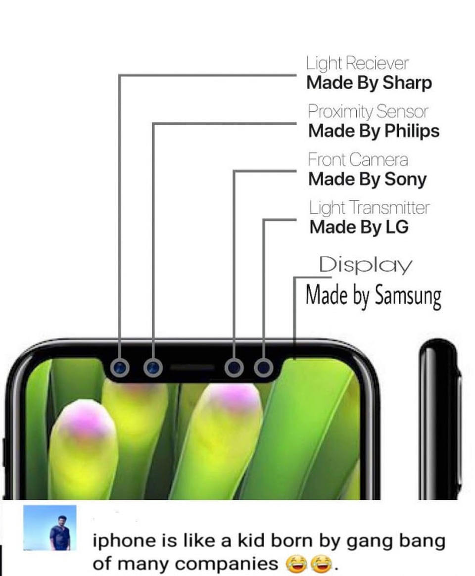 iPhone X bị chê là một sự lai tạp khi sử dụng cảm biến ánh sáng của Sharp, cảm biến tiệm cận của Philips, Camera trước của Sony, Cảm biến chắn sáng của LG, và màn hình OLED của Samsung.