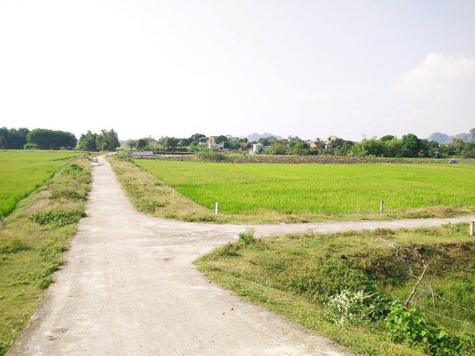 Dự án di dân khỏi vùng "khẩn cấp", gần chục năm vẫn còn trên... giấy - 2 Khu tái định cư cho khoảng 900 dân sau 5 năm xây dựng hiện mới chỉ làm được con đường, chưa thể đền bù, giải phóng mặt bằng vì... đói vốn.