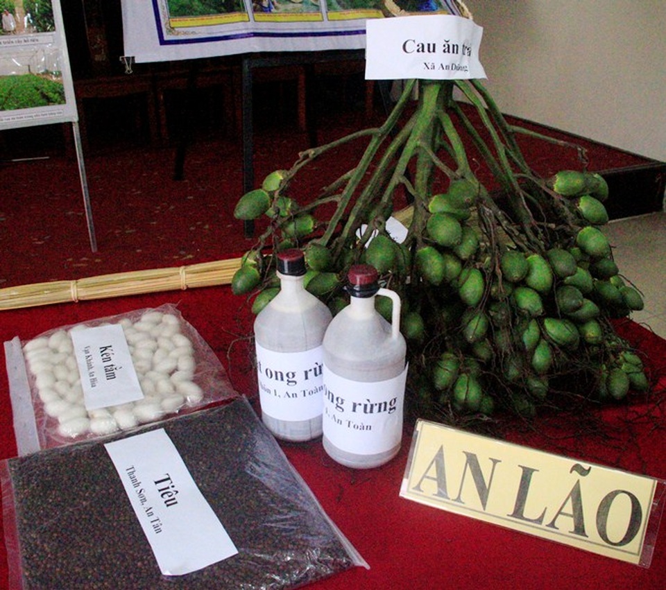 Đặc sản ken tằm, tiêu, mật ong rừng, cau của huyện vùng cao An Lão (Bình Định)