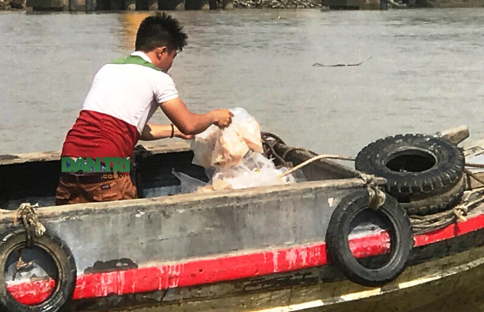 Hai tàu container tông nhau trên sông, người dân lao ra "hôi của" - 5
Rất đông người dân đã tranh nhau vớt cá basa đông lạnh trôi ra từ thùng hàng container.
