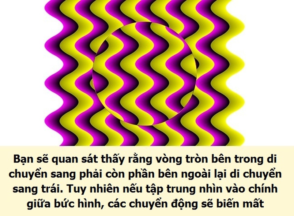 Trò chơi ảo giác khiến bạn mất niềm tin vào đôi mắt của mình - 6 Trò chơi ảo giác khiến bạn mất niềm tin vào đôi mắt của mình - 6
