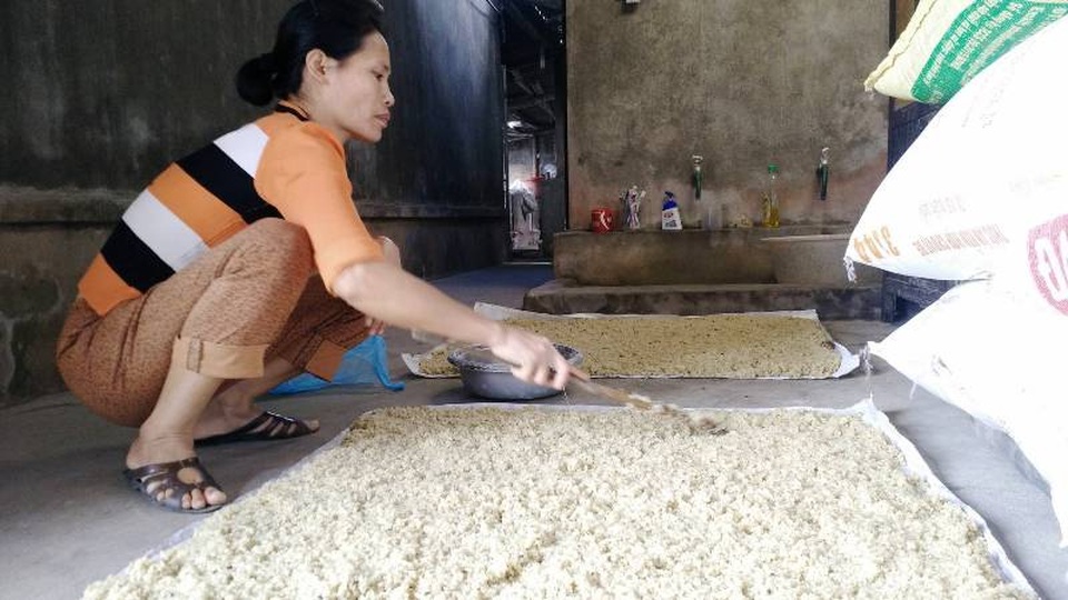 Người phụ nữ gồng mình cứu chồng ung thư, nuôi con tâm thần - 4 Chị Huế làm quần quật cả ngày để chăm lo cho cả gia đình 6 miệng ăn.