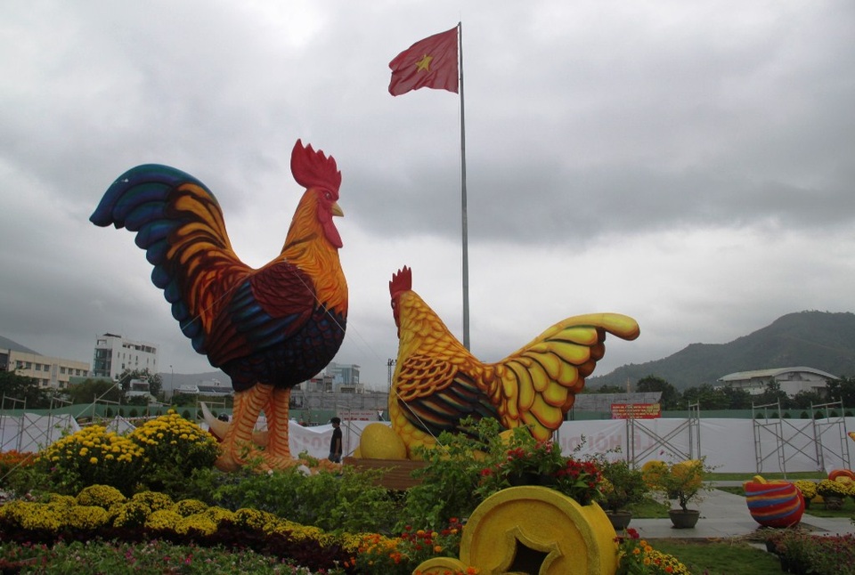 Bình Định: Người dân, du khách tò mò đi xem cặp gà “khủng” cao 5,5 mét - 3 Với chiều cao 5,5 mét đây có lẽ là cặp gà cao nhất Việt Nam
