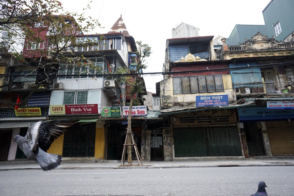 Những chú chim bồ câu thoải mái bay trên đường phố cổ vắng người qua lại.