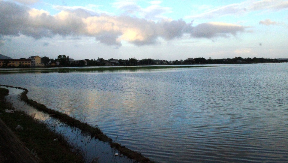 Hàng trăm ha lúa mới gieo sạ chìm trong biển nước mênh mông ngày đầu năm 