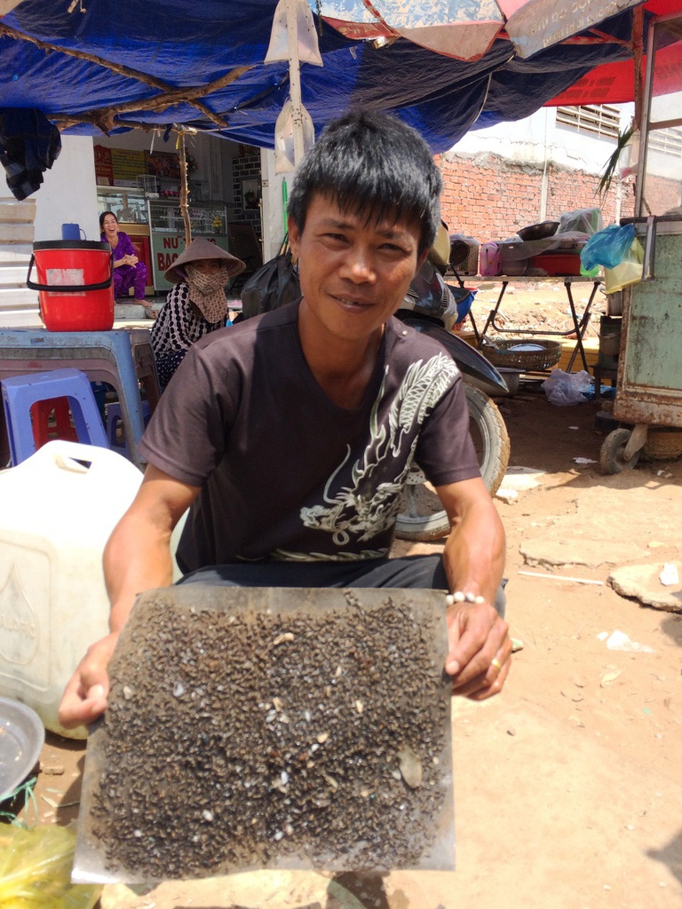 Sau vụ cháy cực lớn kéo dài 5 ngày, “giặc ruồi” bất ngờ bủa vây - 1
Ruồi bu đen ngòm trên tấm dính ruồi.