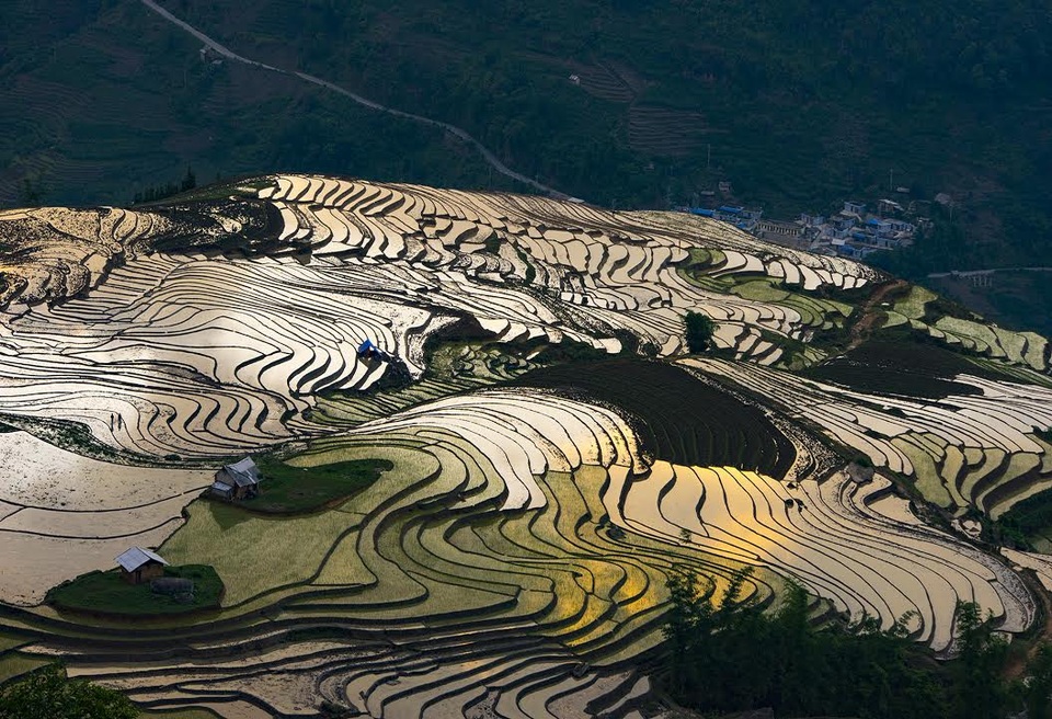 Vẻ đẹp ruộng bậc thang Lào Cai mùa nước đổ - 2
