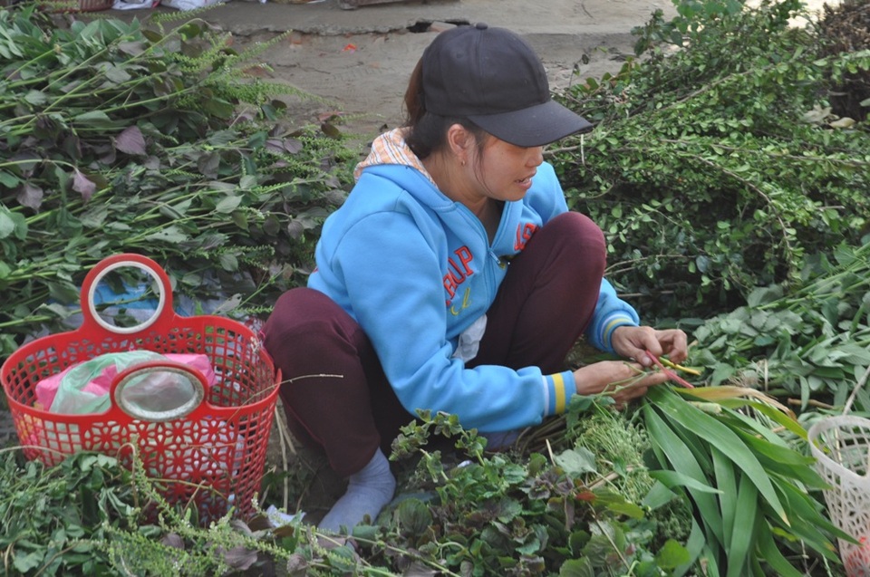 Bánh ú tro đắt hàng dịp Tết Đoan Ngọ - 4 “Lá mùng 5” được lưu truyền từ xưa của người dân xứ Quảng mỗi dịp Tết Đoan Ngọ