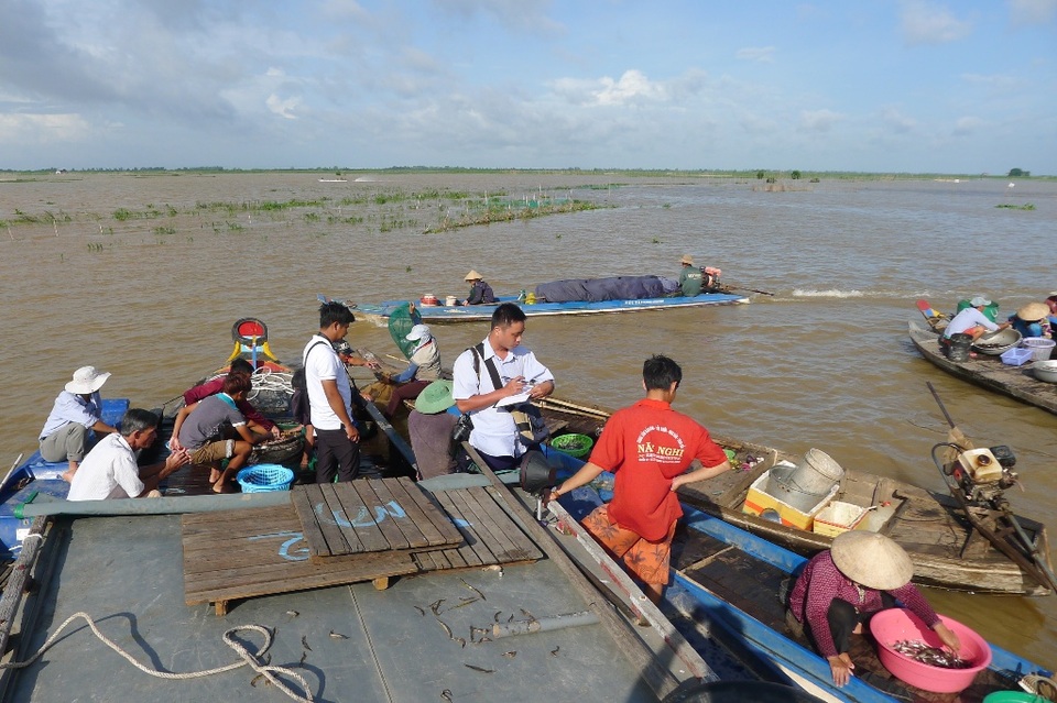 Chộn rộn chợ cá đồng... mùa nước nổi - 12 Khi nắng vừa lên, buổi chợ cũng sắp kết thúc....