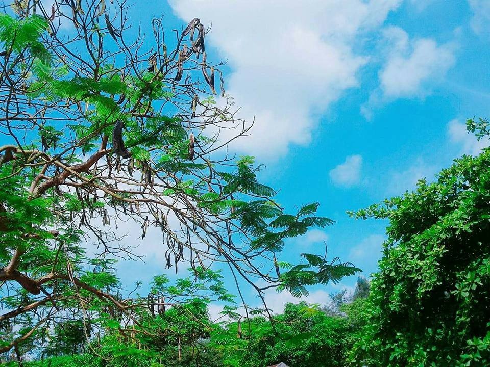 Tuổi học trò - nơi gửi gắm kí ức và cảm xúc chân thật nhất - 1 Cả khoảng trời vô tư, hồn nhiên cứ thế ăm ắp kỉ niệm mỗi lần nghĩ về (Ảnh minh hoạ)