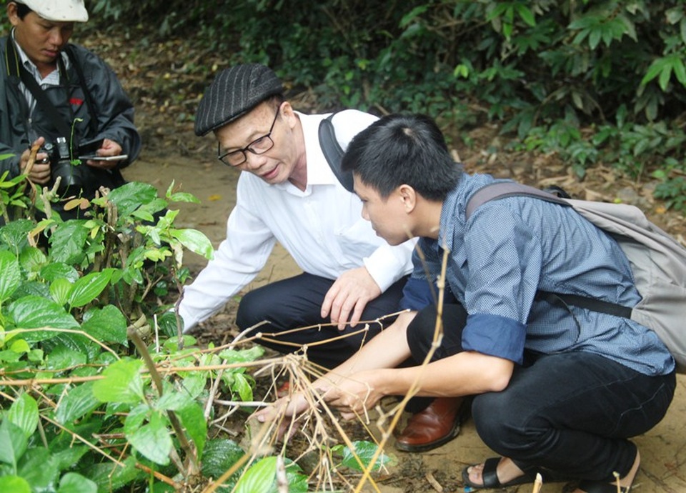 Tại Gò Cây Me còn nhiều mảnh vỡ của các loại gốm nằm lộ thiên trong vườn nhà dân