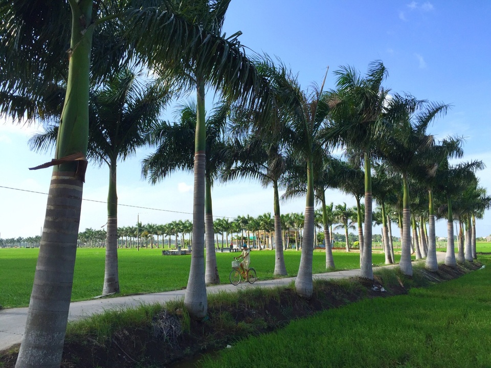 Lạc bước trên “con đường hạnh phúc” đẹp mê mẩn ở Long An - 4 Nhìn từ góc nào cũng thấy “con đường hạnh phúc” đẹp rạo rực