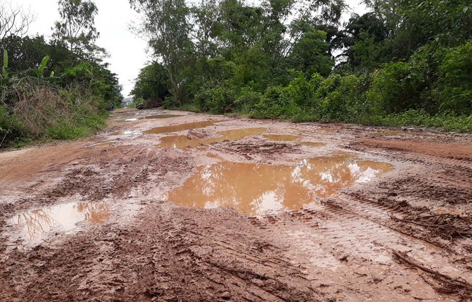 Tuyến đường đê bao nối từ khu vực Kim Châu đến khu vực phường Bình Định (thị xã An Nhơn) trong tình trạng lầy lội, ổ trâu, ổ gà xuất hiện dày đặc.