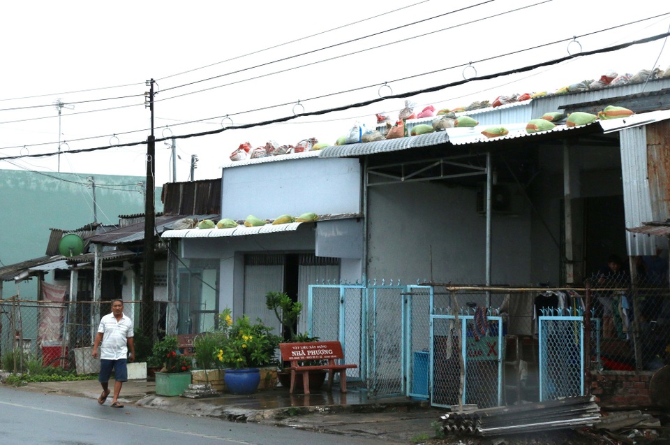
Người dân Cà Mau chằng chéo lại mái nhà, tránh bão thổi tốc mái
