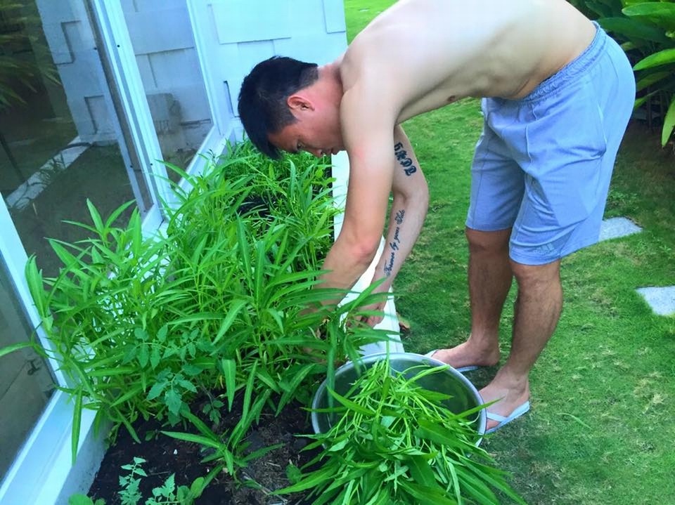 Thủy Tiên chia sẻ hầu như gia đình cô không bao giờ phải đi mua rau ngoài chợ.