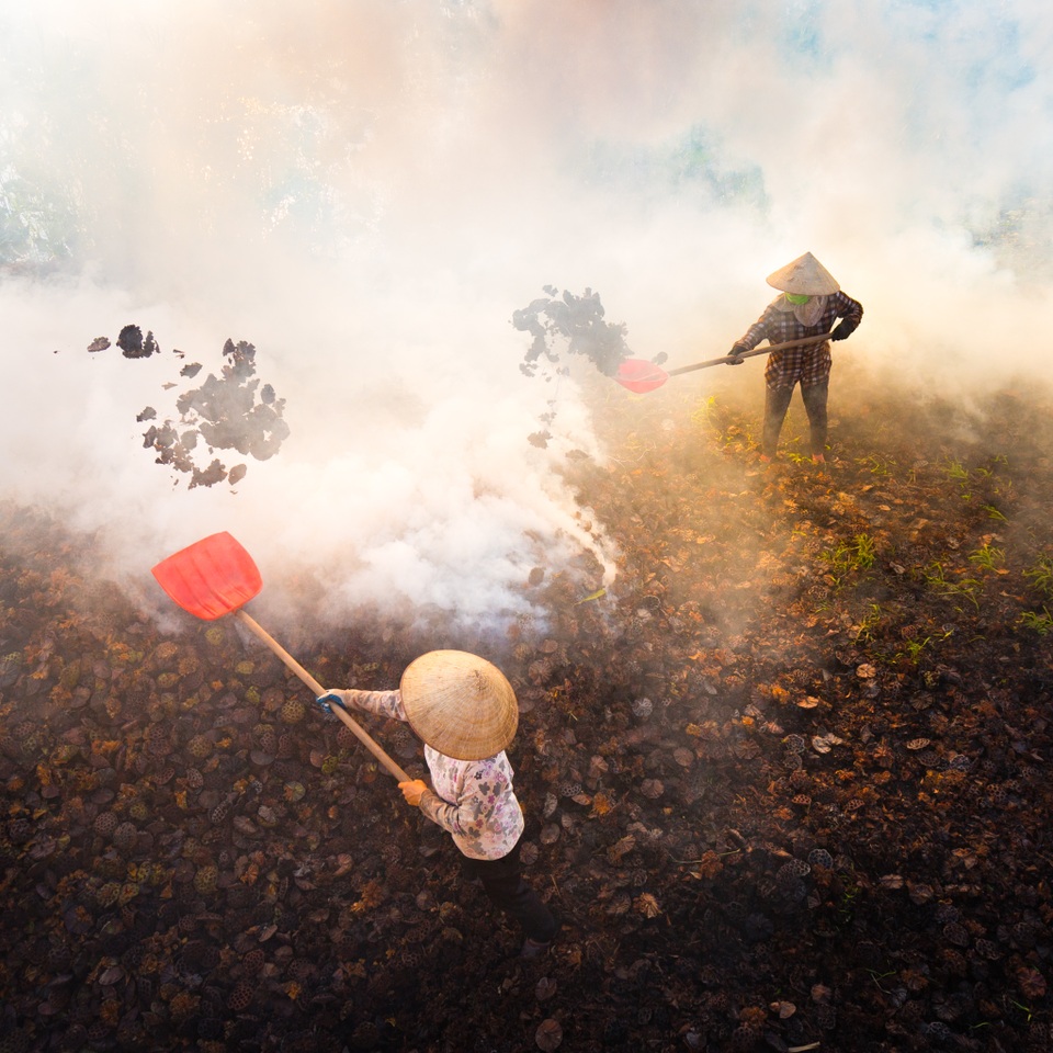 Ảnh đẹp trong ngày 17/8/2016. Hai người nông dân đang đốt đài sen khô sau khi thu hoạch. Khói ảnh hưởng đến sức khoẻ của họ mặc dù mỗi người nhận được chỉ 150.000 đồng cho mỗi ngày làm việc. Ảnh chụp tại Hà Nam.