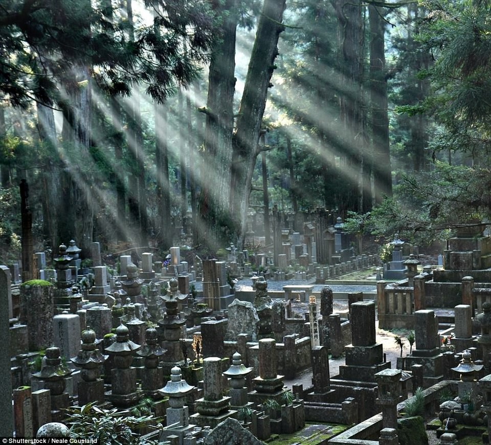 Nằm trên núi Koya ở quận Wakayama, Nhật Bản, là nghĩa trang lớn nhất “đất nước mặt trời mọc”. Ở đây có hơn 200.000 ngôi mộ nằm trong một khu rừng yên tĩnh, về đêm, nghĩa trang được thắp sáng bằng những ngọn đèn lồng. Ngọn núi Koya đã trở thành Địa danh Di Sản Thế giới của UNESCO hồi năm 2004. Nơi đây còn có nhiều ngôi đền sẵn sàng tiếp đón du khách dừng chân.