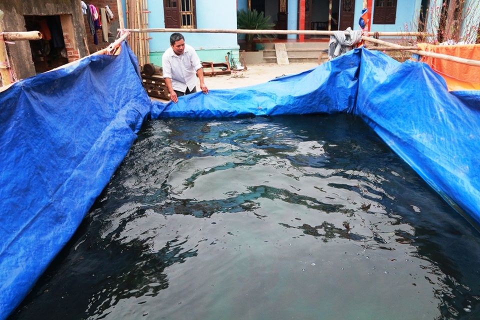 Chưa Tết, cá lóc bông “siêu sạch” đã “cháy” hàng - 1 Nghề nuôi cá lóc bông Ấn Độ ở Ninh Bình phát triển khoảng 5 năm nay. Trên địa bàn có khoảng 5 hộ nuôi loài cá đặc sản này, mỗi năm chỉ thu hoạch một lần vào trước Tết Nguyên đán 1 tháng. Khi thu hoạch lên, các hộ dân xuất cá cho thương lái và giữ lại một ít để bán lẻ vào dịp Tết cổ truyền, phục vụ nhu cầu của người dân.
