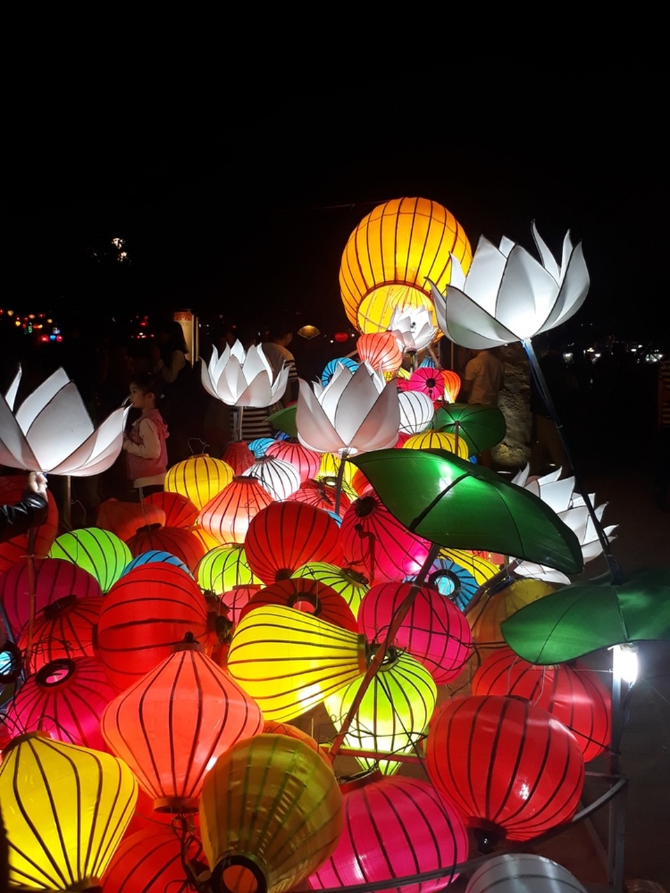 “Thác đèn lồng” với những bông hoa sen trắng thu hút các bạn trẻ đến chụp ảnh lưu niệm