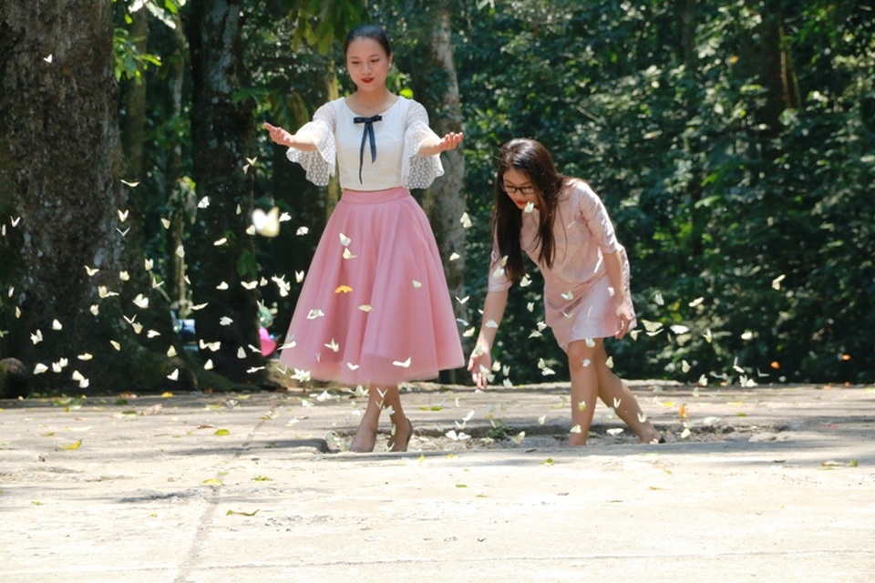 Đến Cúc Phương ngắm “rừng bươm bướm” - 14 Những hình ảnh đáng nhớ nhất của du khách trong mùa bướm khi được hòa mình vào một rừng bươm bướm.