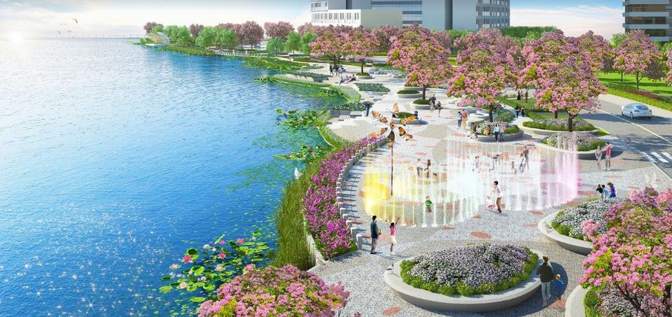 Khu Nam Sài Gòn: Cửa hàng đắt giá! - 7 Công viên Sakura Park, nơi trồng phổ biến loại hoa Singapore Sakura sẽ là điểm đến của cư dân thành phố và cả nước