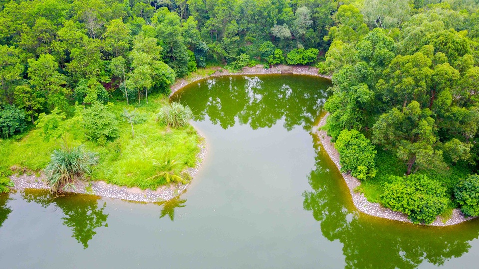 Vườn thực vật Hà Nội - nơi hội tụ nhiều loài cây quý - đang bị “bỏ rơi” - 5 Vườn thực vật Hà Nội - nơi hội tụ nhiều loài cây quý - đang bị “bỏ rơi” - 5