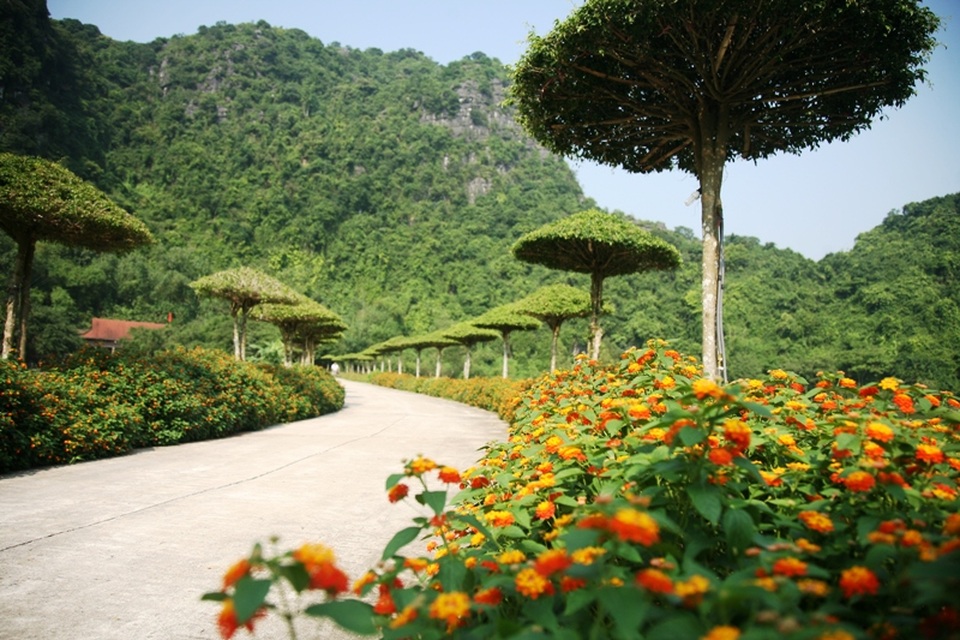 Khám phá "nơi bảo tồn những báu vật của trời"! - 5 Đường vào vườn chim Thung Nham rợp màu hoa.