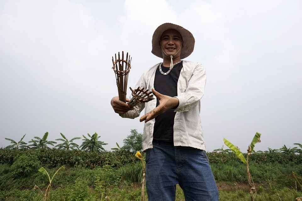 
Công cụ rất đơn giản bao gồm những chiếc rọ làm bằng ống tre, xô, cuốc, thuổng.
