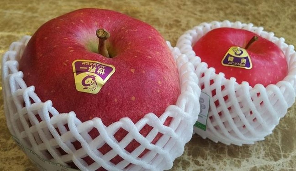 Những trái cây Nhật "siêu" cao cấp chỉ dành cho giới nhà giàu - 8 Quy trình sản xuất táo Sekai-ichi hoàn toàn thủ công