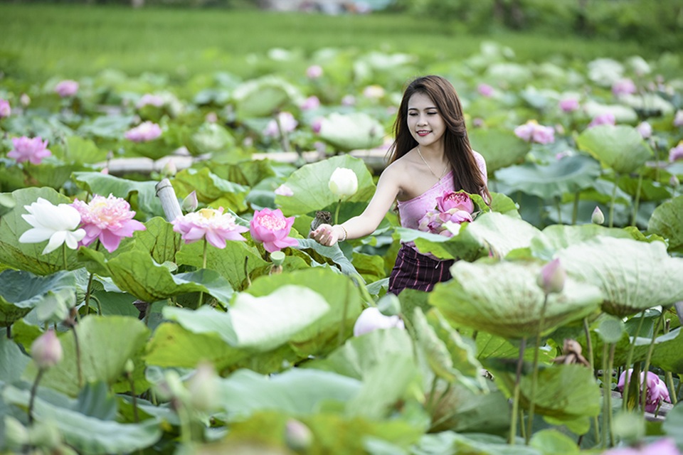 Nữ sinh Lào quyến rũ bên hoa sen Việt - 5
Anisone chia sẻ: Em thấy hoa sen ở Việt Nam rất đẹp nên em mới quyết định chụp bộ ảnh sen này.